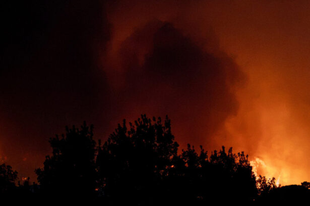 situatie fara precedent in spania si franta sute de mii de persoane evacuate din cauza incendiilor de vegetatie ue trimite ajutoare 6a65a5a9250e1