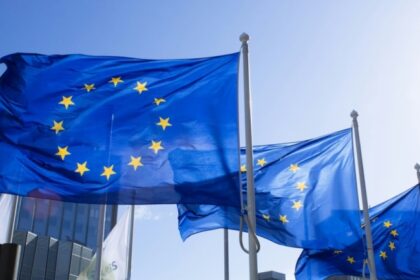taxa vamala de 3 euro pentru coletele mici care intra in ue masura vizeaza cumparaturile online din afara spatiului comunitar 6a44ec64eaf33