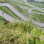 trafic rutier inchis luni pe mai multe tronsoane ale dn 7c transfagarasan recomandarile politiei 6a4a9b8d92466
