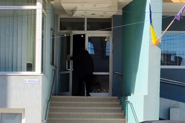 vamesii din constanta care au picat in plasa unui investigator sub acoperire si au recunoscut vina 6a673b59abae7