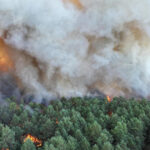 video incendii forestiere de amploare exceptionala in apropierea parisului au fost mobilizati 400 de pompieri avioane elicoptere 6a54822a8f0be