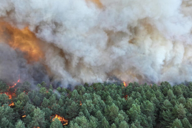 video incendii forestiere de amploare exceptionala in apropierea parisului au fost mobilizati 400 de pompieri avioane elicoptere 6a54822a8f0be