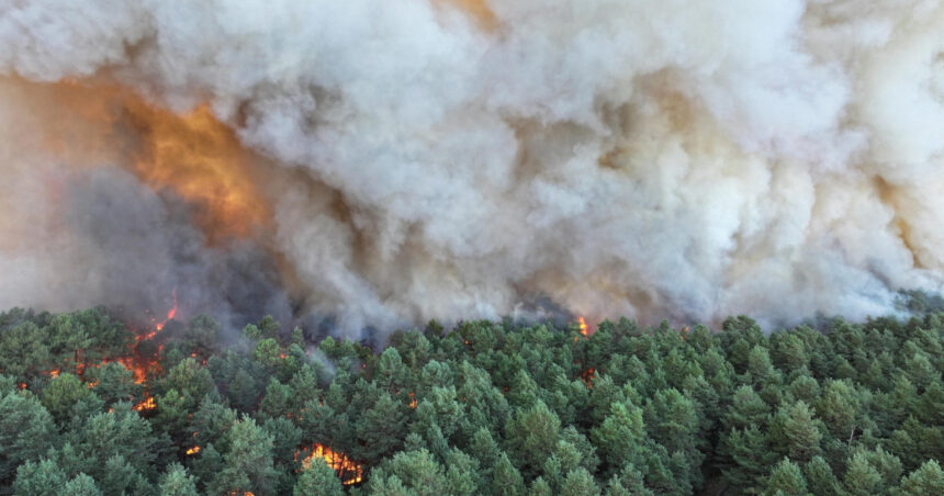 video incendii forestiere de amploare exceptionala in apropierea parisului au fost mobilizati 400 de pompieri avioane elicoptere 6a54822a8f0be