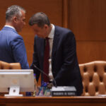 video surse cum incearca psd sa stranga voturile necesare pentru guvernul grindeanu cine decide majoritatea in parlament 6a6cd0d08527b