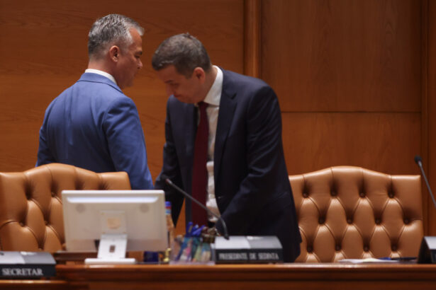 video surse cum incearca psd sa stranga voturile necesare pentru guvernul grindeanu cine decide majoritatea in parlament 6a6cd0d08527b