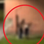 video un barbat din brasov a fost arestat dupa ce si a batut partenera incidentul filmat de un localnic 6a44c1c0d13f3