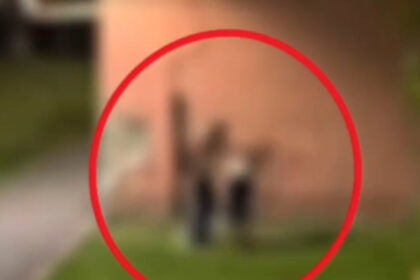 video un barbat din brasov a fost arestat dupa ce si a batut partenera incidentul filmat de un localnic 6a44c1c0d13f3