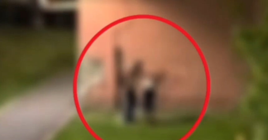 video un barbat din brasov a fost arestat dupa ce si a batut partenera incidentul filmat de un localnic 6a44c1c0d13f3