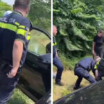 video urmarit international prins in trafic acesta era condamnat pentru un furt comis in 2023 6a6236c2c572a