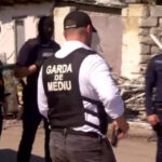 video val de sesizari absurde la garda de mediu de la mirosul de tocanita venit din vecini pana la albinele care murdaresc masinile 6a5a4a41e6f65