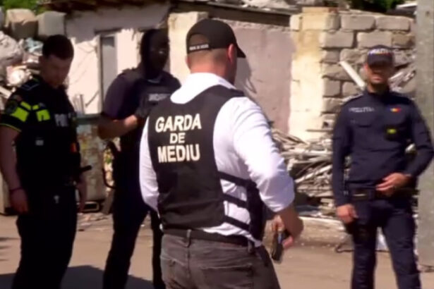 video val de sesizari absurde la garda de mediu de la mirosul de tocanita venit din vecini pana la albinele care murdaresc masinile 6a5a4a41e6f65