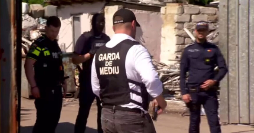 video val de sesizari absurde la garda de mediu de la mirosul de tocanita venit din vecini pana la albinele care murdaresc masinile 6a5a4a41e6f65