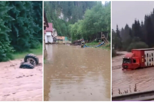 video viitura pe raul bistrita in suceava au fost inundate mai multe locuinte dupa codul rosu 6a4772d212a46
