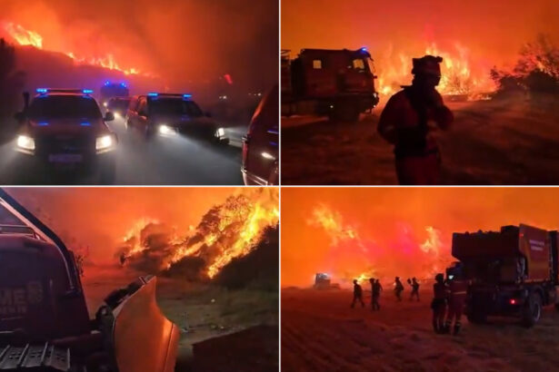 videofoto cel mai mare incendiu din spania din acest an 12 000 de hectare au ars un barbat a fost arestat pentru incendiere intentionata 6a5a006b3c932