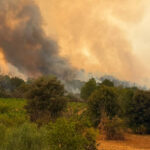 videofoto pompierii romani lupta cu un incendiu major in franta flacarile ameninta locuinte din apropierea localitatii correns 6a6cf07464b2f