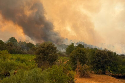 videofoto pompierii romani lupta cu un incendiu major in franta flacarile ameninta locuinte din apropierea localitatii correns 6a6cf07464b2f