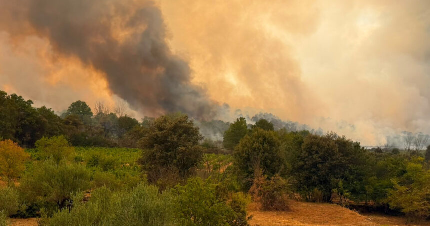 videofoto pompierii romani lupta cu un incendiu major in franta flacarile ameninta locuinte din apropierea localitatii correns 6a6cf07464b2f