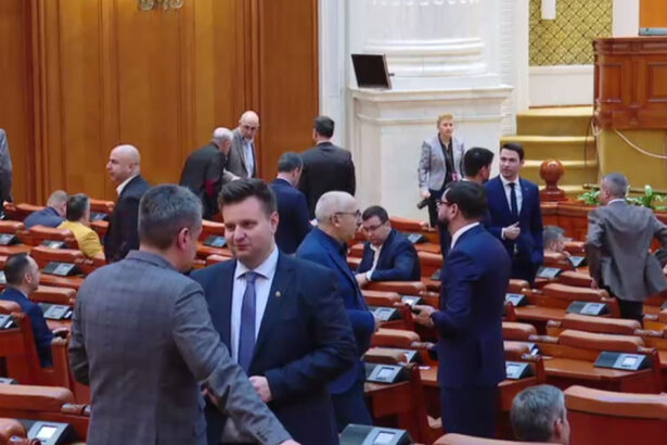 camera deputatilor a respins proiectul privind utilizarea fondului de garantare pentru plata creantelor salariale 6a8ec129ae6b1