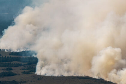 cel mai mare incendiu din istoria belgiei se indreapta acum spre germania dupa ce a devastat 3 000 de hectare 6a81b416610f5
