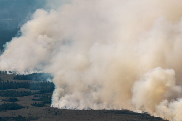 cel mai mare incendiu din istoria belgiei se indreapta acum spre germania dupa ce a devastat 3 000 de hectare 6a81b416610f5