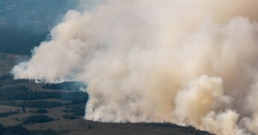 cel mai mare incendiu din istoria belgiei se indreapta acum spre germania dupa ce a devastat 3 000 de hectare 6a81b416610f5