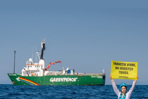 cine minte greenpeace a reclamat ca a fost blocata acostarea arctic sunrise in portul constanta anr si capitania neaga 6a8e2a198cb84