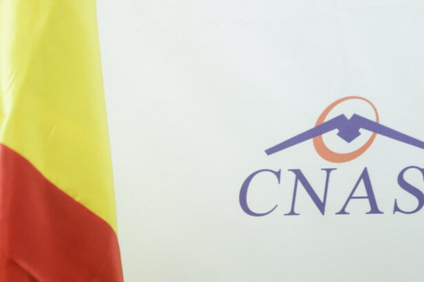 concurs pentru 20 de posturi de director general in teritoriu organizat de casa nationala de asigurari de sanatate 6a874771a9146