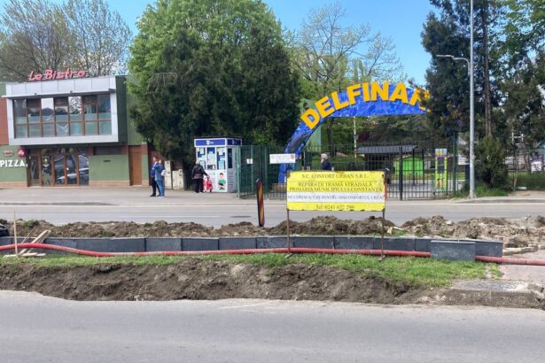 consiliul judetean a castigat procesul pentru cladirea in care raducu popescu avea cafenea acolo se muta omd ul condus de bucovala 6a70e66eab214