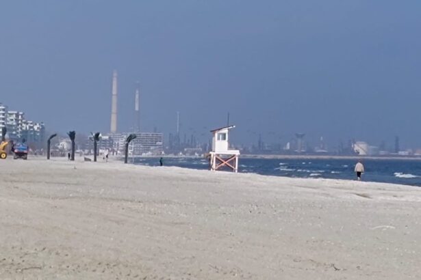 cum ar putea arata plajele din mamaia in urmatorii ani proiectul a primit aviz pozitiv 6a7f866f19296
