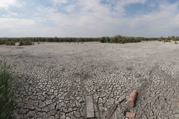 de ce nu ajuta ploile de vara la diminuarea secetei climatolog sunt distribuite neuniform si nu acolo unde este nevoie mai mare 6a76b7a81d792