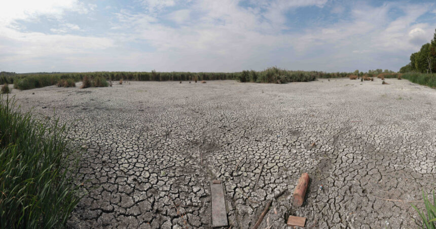 de ce nu ajuta ploile de vara la diminuarea secetei climatolog sunt distribuite neuniform si nu acolo unde este nevoie mai mare 6a76b7a81d792