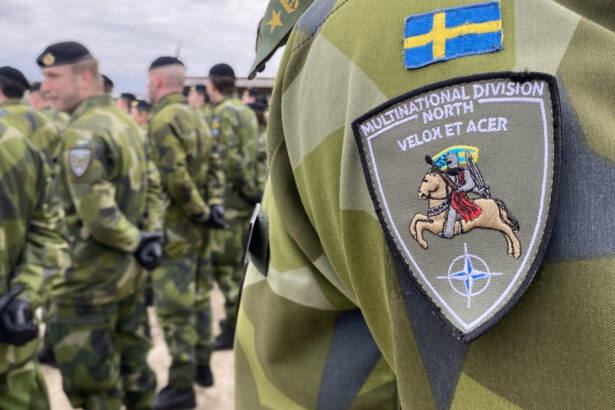 de ce tarile de pe flancul estic al nato resping temerile privind un atac al rusiei exista insa motive sa credem ca riscul a crescut 6a95bd62aaaee