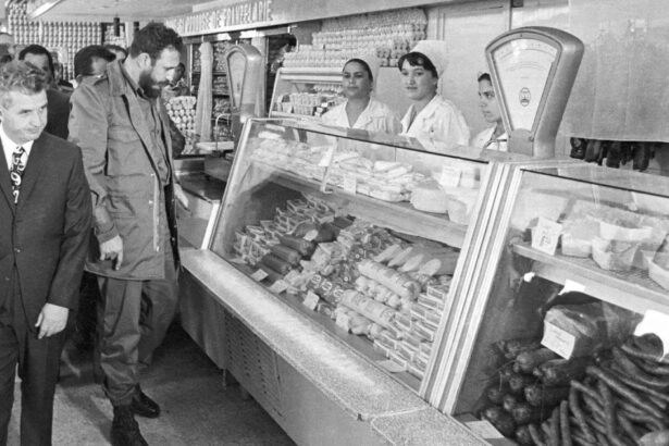documente ale securitatii cum aratau cozile si lipsa alimentelor in romania comunista rafturile sint goale nu ai ce cumpara 6a860b04be531