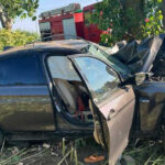 doi morti si doi raniti dupa ce o masina s a izbit violent de un copac pe un drum judetean din buzau 6a6e295884607