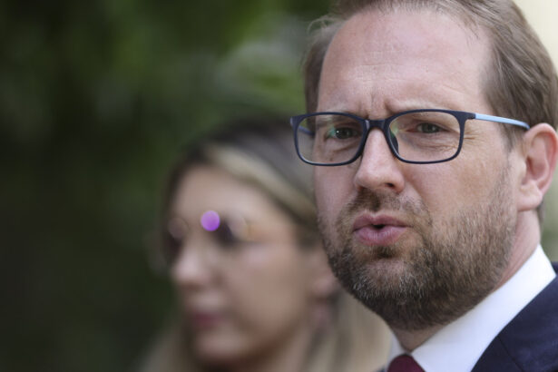 dominic fritz psd ar fi o catastrofa pentru romania ce spune despre un premier tehnocrat cu ministri politici 6a905b427d9de