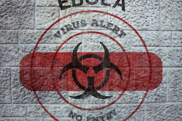 epidemia de ebola din rd congo a ucis peste 2 000 de oameni este al doilea cel mai mare focar din istorie 6a7c638a8257e