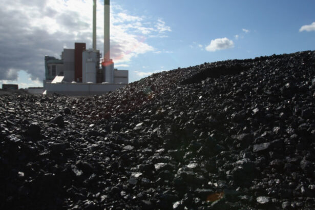 exclusiv doar dumnezeu ne mai scapa de criza seful federatiei mine energie nu poti reduce accelerat carbunele dar sa astepti preturi mici 6a7c6e1d04c1c