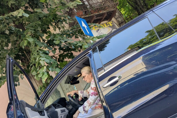 fosta sotie a afaceristului petrica iordache reuseste sa se descurce in trafic cu un adevarat van 6a85b2b665a63