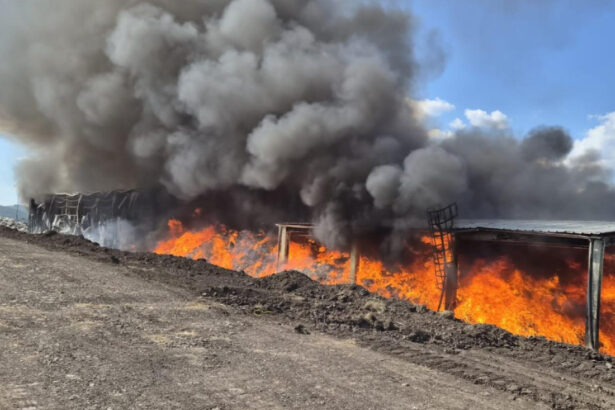 foto incendiul de la centrul de colectare a deseurilor din covasna stins dupa trei zile au ars peste 1 600 de metri patrati 6a8565cb32a9d