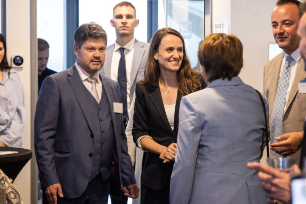 foto oana toiu anunta servicii consulare pentru romanii din hessa cand se deschide consulatul romaniei la frankfurt 6a8edf919eb21