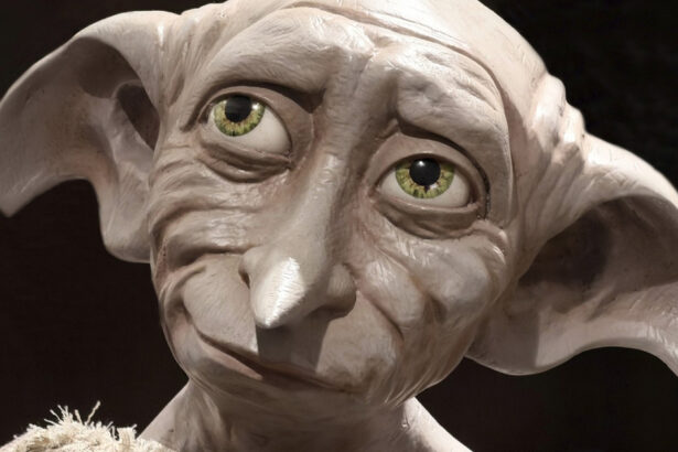 foto traseul unui cablu submarin de 430 de milioane de lire sterline a fost mutat pentru a evita mormantul lui dobby din harry potter 6a829a827c4eb