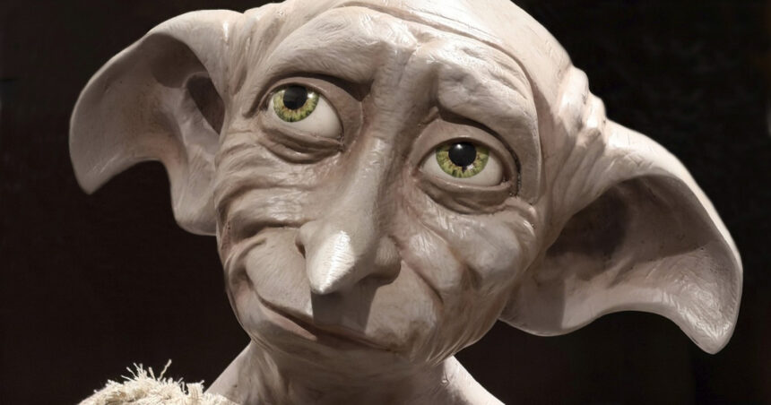 foto traseul unui cablu submarin de 430 de milioane de lire sterline a fost mutat pentru a evita mormantul lui dobby din harry potter 6a829a827c4eb