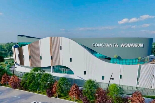 galerie foto pinguini tuneluri subacvatice si bazine spectaculoase cum va arata noul acvariul din constanta 6a7451b833f12