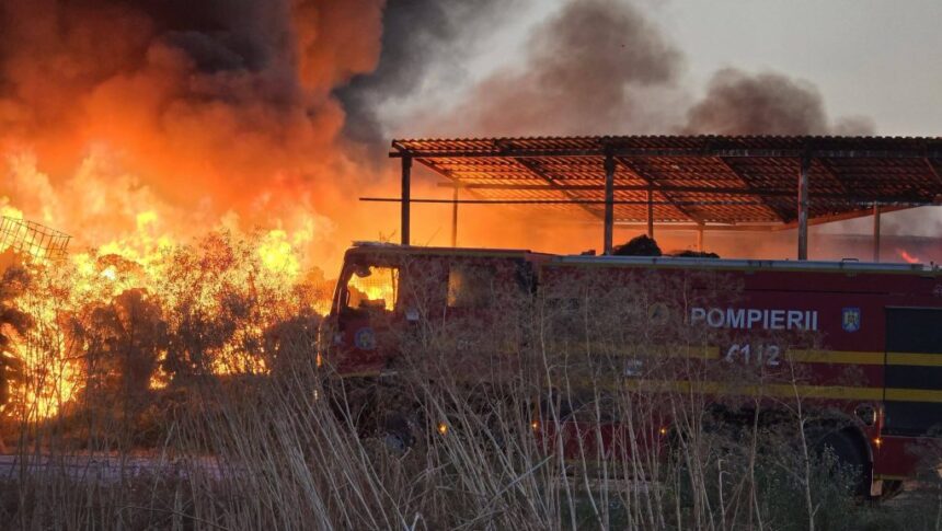incendiul de de lumina lichidat dupa 12 ore mai multe anchete au fost deschise pentru stabilirea cauzelor si pentru poluare 6a7d7010946df