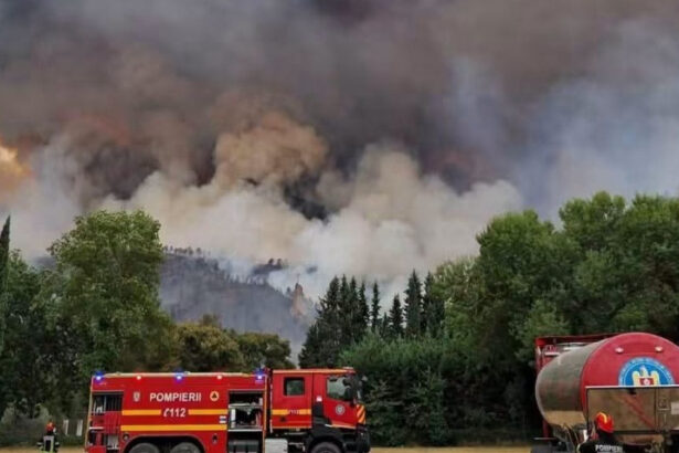 incendiul de vegetatie din resita s a reaprins intervin pompieri din caras severin si timis a fost mobilizat un elicopter 6a6e25d4d0fb3