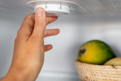 la cate grade trebuie setat frigiderul temperatura care pastreaza alimentele in siguranta si poate reduce consumul de energie 6a755b8c9c19f