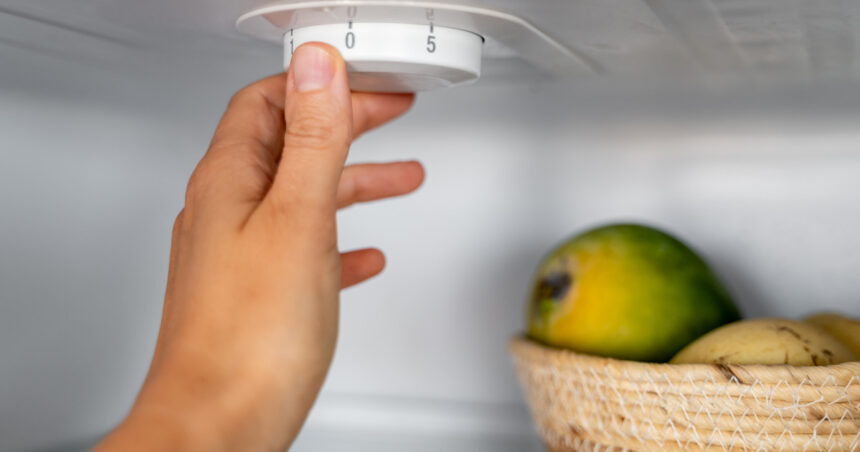 la cate grade trebuie setat frigiderul temperatura care pastreaza alimentele in siguranta si poate reduce consumul de energie 6a755b8c9c19f