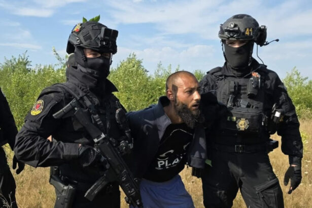 news alert detinutul evadat acum doua zile din baia mare a fost prins de politisti 6a880c57a69d1