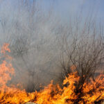 patru noi incendii au izbucnit in caras severin au intervenit zeci de pompieri si lucratori silvici ajutati de doua elicoptere 6a7a268c8c155