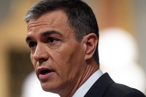 pedro sanchez spania continua ancheta privind valul de migranti din ceuta au fost raspandite zvonuri si dezinformari 6a9545db54299